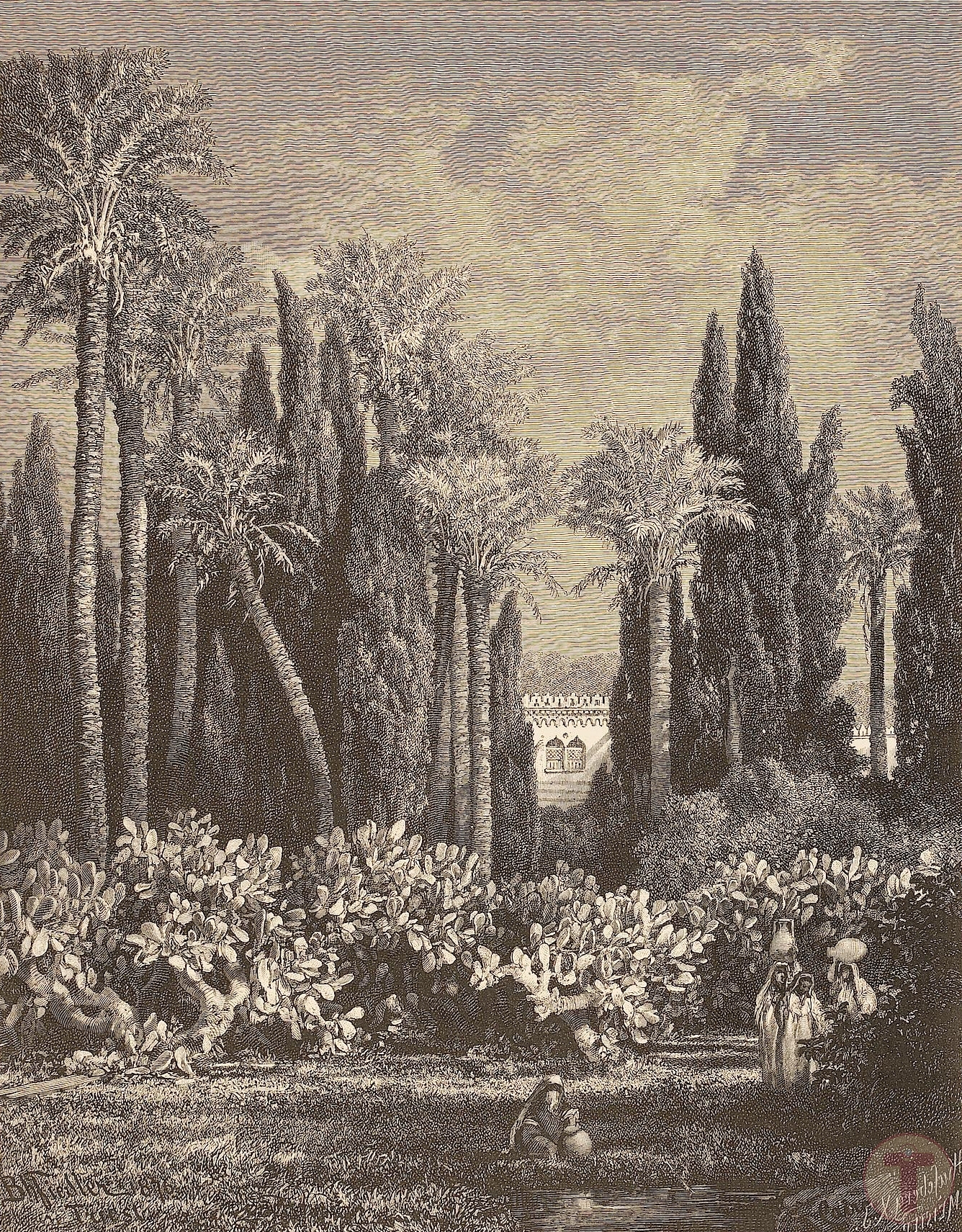 Mısır'da Bir Bahçe