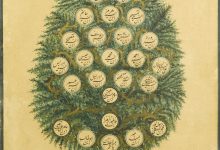 Şâzeliyye Tarikatı Silsilesi