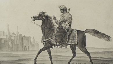 Bir Osmanlı Süvari