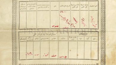 Osmanlı Dönemi Filistin Safed'De Yahudi Bir Kadının Nüfus Kayıt Belgesi