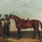 Bir Osmanlı Seyisi