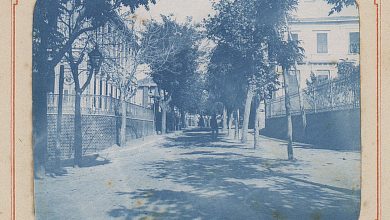 İstanbul'Dan Bir Sokak Manzarası, 1900'Ler