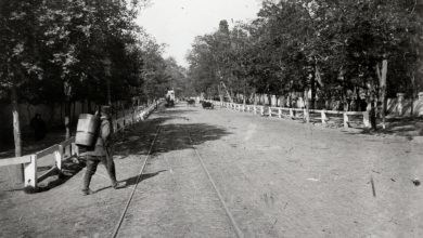 İstanbul'Da Ağaçlı Bir Yol Ve Atlı Tramvay