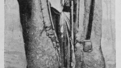 Filistin'De Genç Bir Bedevi Şeyhi