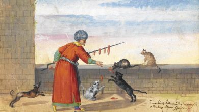 Sokak Köpeklerini Besleyen Bir Osmanlı Adamı