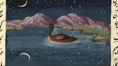 Bir Osmanlı Minyatürü Fotoğrafı