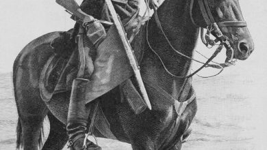 Bir Osmanlı Subayı