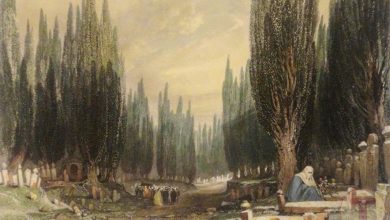 Eşini Kabrinde Ziyaret Eden Bir Osmanlı Kadını