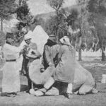 Osmanlı 4. Ordu Askerleri