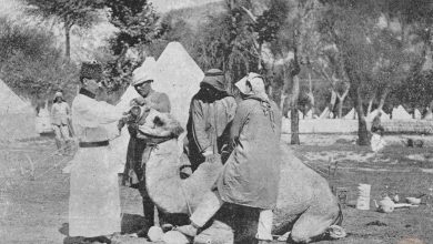 Osmanlı 4. Ordu Askerleri