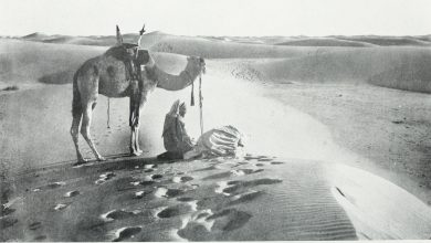 Çölde Namaz Kılan Araplar