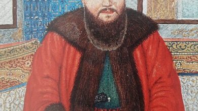 Padişahlar tebdil gezdiği sırada onları tanıyıp yanaşmak hoş karşılanmazdı. Bir