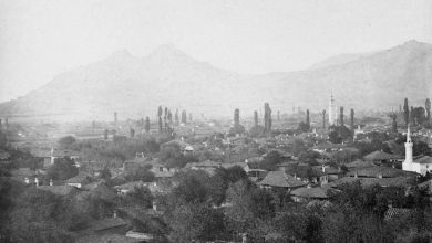 Pirlepe (Prilep, Macedonia), 1863
Pirlepe (Makedonya), 1863

                   ...
