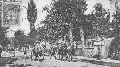 Samsun, 1906

                     ...