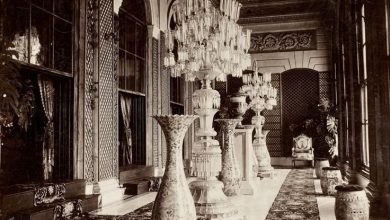 Saray Salonu Basile Kargopoulo Fotoğrafı 1875