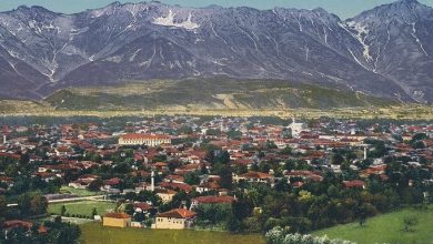 Shkodra (Shkodër, Albania), 1910s 
İşkodra, Arnavutluk, 1910'lar.
.
Love history...