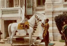 Sultan II. Abdülhamid'in en çok sevdiği atı, Ferhan, Istanbul, 1800'lerin sonlar...