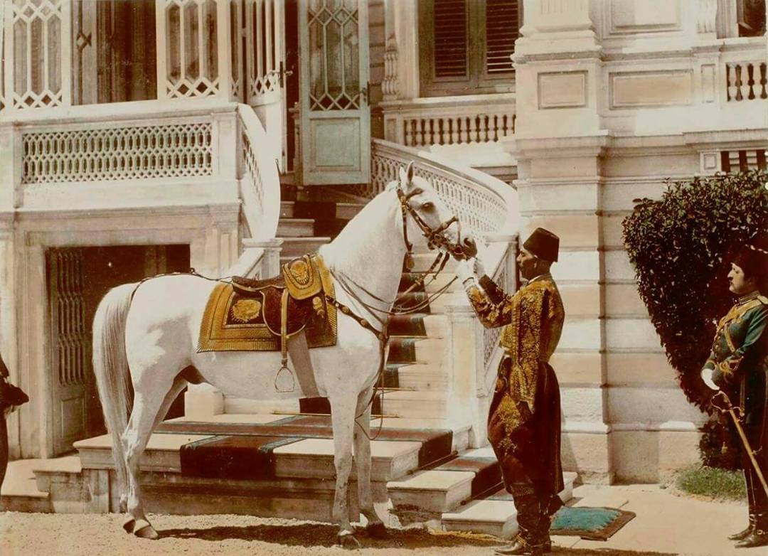 Sultan II. Abdülhamid'in en çok sevdiği atı, Ferhan, Istanbul, 1800'lerin sonlar...