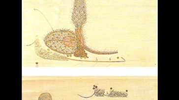 Sultan IV. Mehmed'in mülkname'sinde kullandığı tuğra (1662)
                    ...