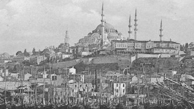Süleymaniye, Istanbul, 1900. .
Love history? Become one of our patrons by pledgi...