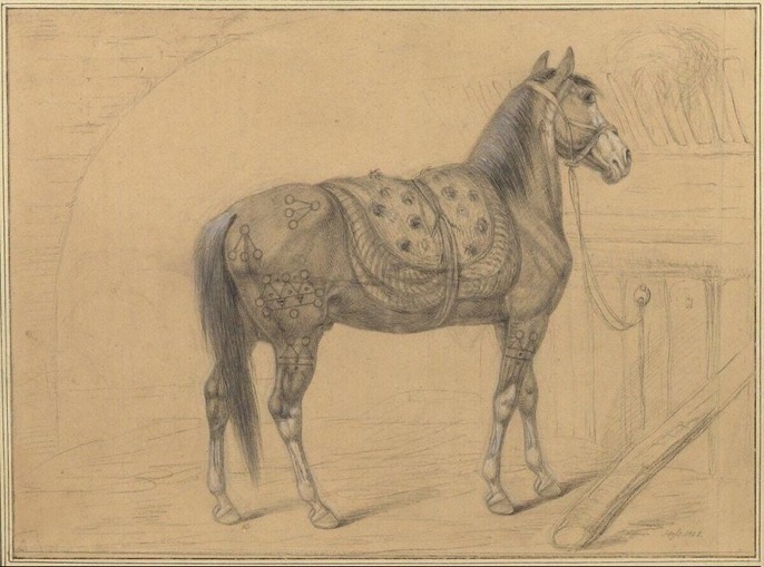The Horse was Sent as a Gift from Istanbul to Napoleon Bonaparte, Emperor of Fra...