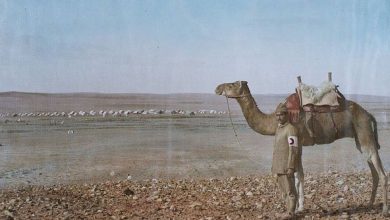 The Ottoman Red Crescent in Palestine, 1917.
Filistin'de Osmanlı Hilal-i Ahmeri,...