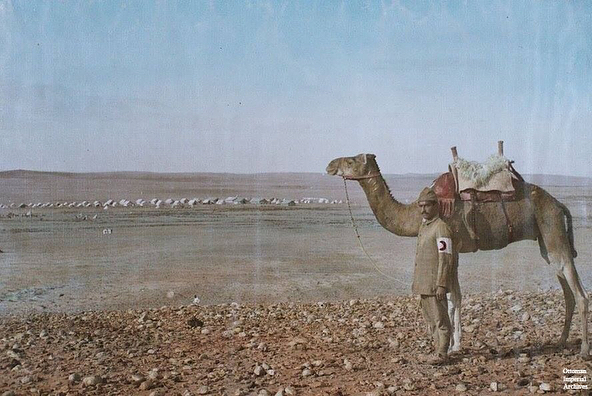 The Ottoman Red Crescent in Palestine, 1917.
Filistin'de Osmanlı Hilal-i Ahmeri,...