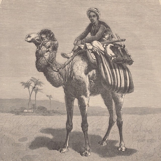 Traveling with Camel in Libya,19th Century
Deve ile Seyahat, Libya, 19. Yüzyıl

...