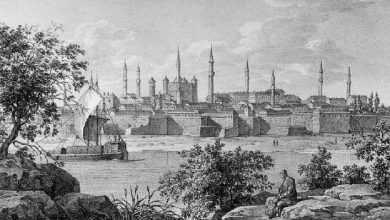 Vidin (Bulgaria), 1825
Vidin (Bulgaristan), 1825

                        ...