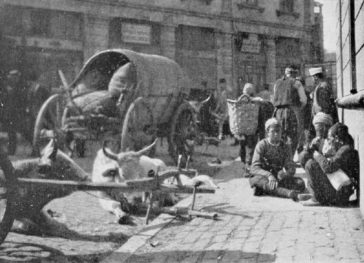 Villagers in Istanbul, 1914
İstanbul'da Köylüler, 1914

                   ...