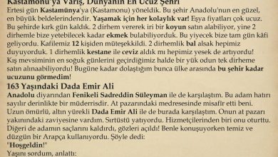 İbn Battuta Seyahatnamesi, 1333
(Kastamonu'ya Varış, Dünyanın En Ucuz Şehri, 163...