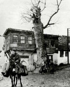 İstanbul - Sulukule, 1950 Çınarlı Çeşme